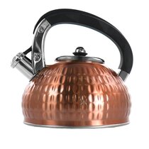 Wayfair hotsell tea kettle